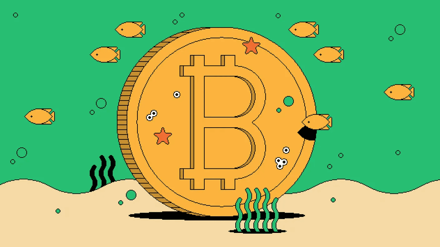 bitsbitcoin-launches-new-designed-website